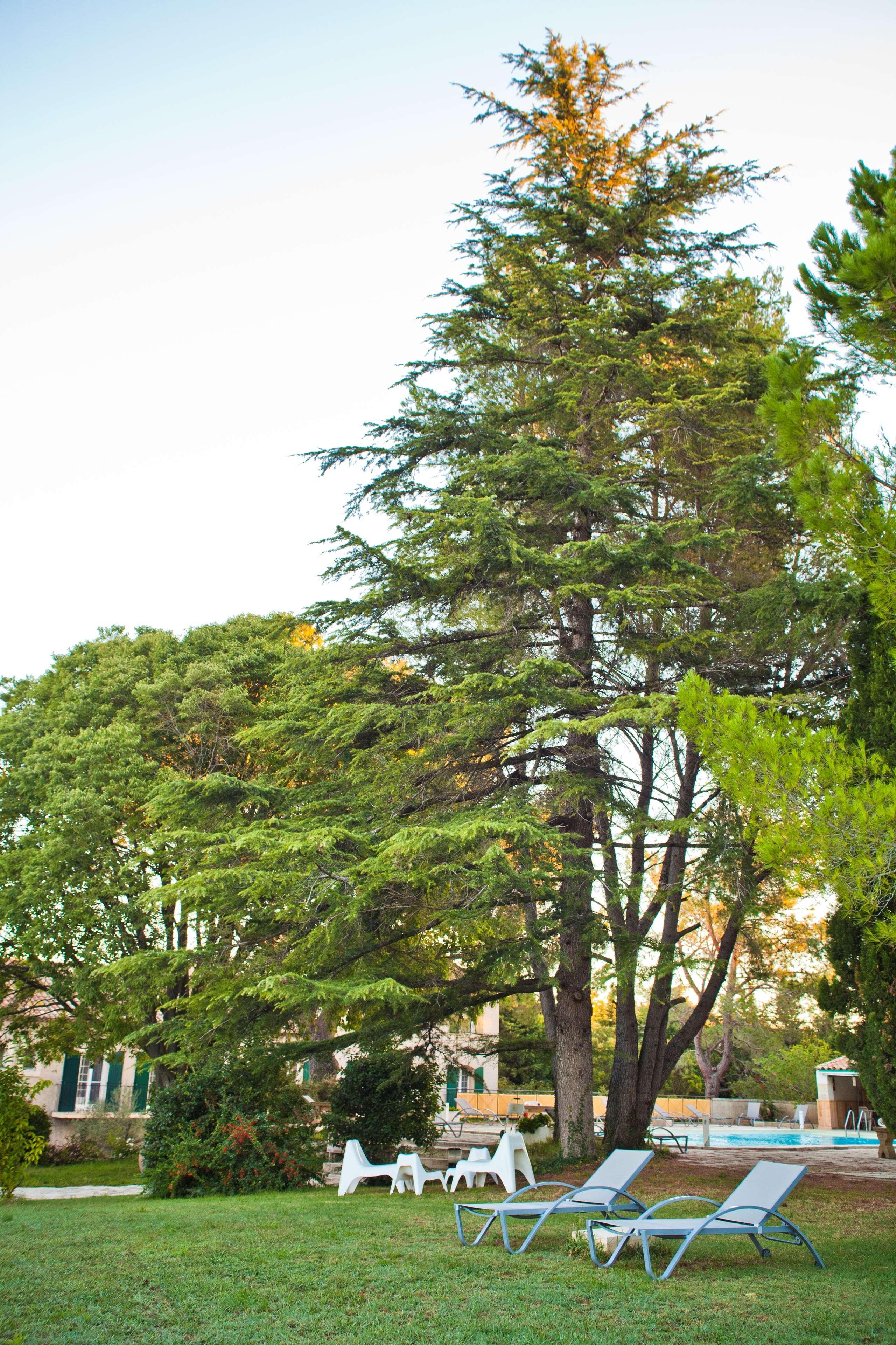 Best Western Le Val Majour Fontvieille Exterior foto